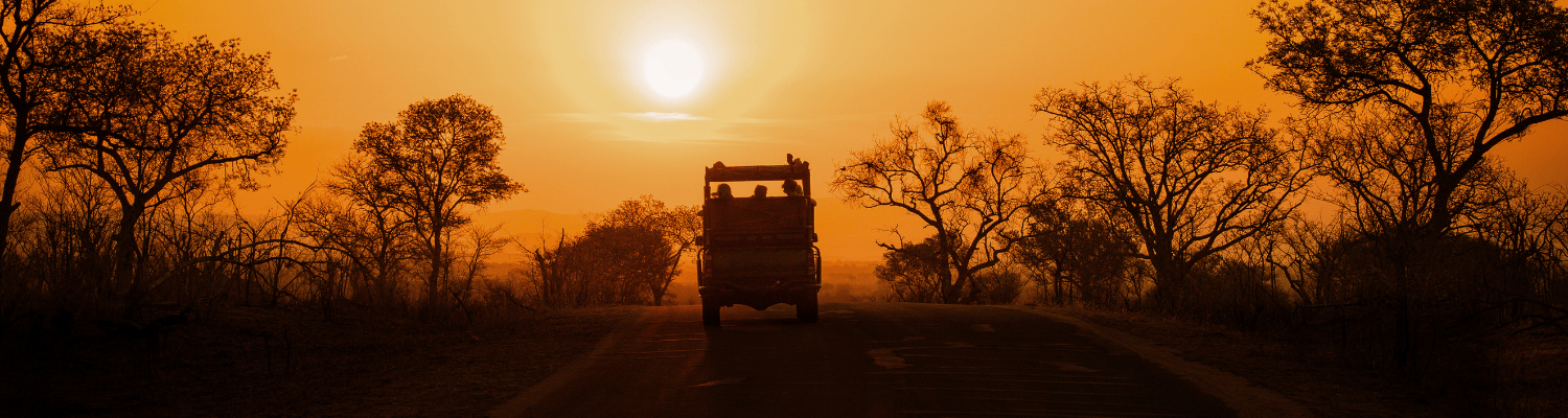 How To Pan Your Safari