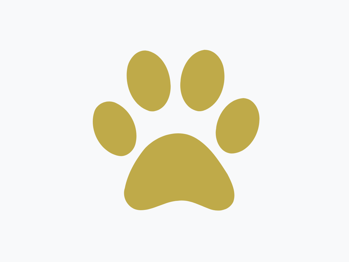 Wildlife Experience Focus