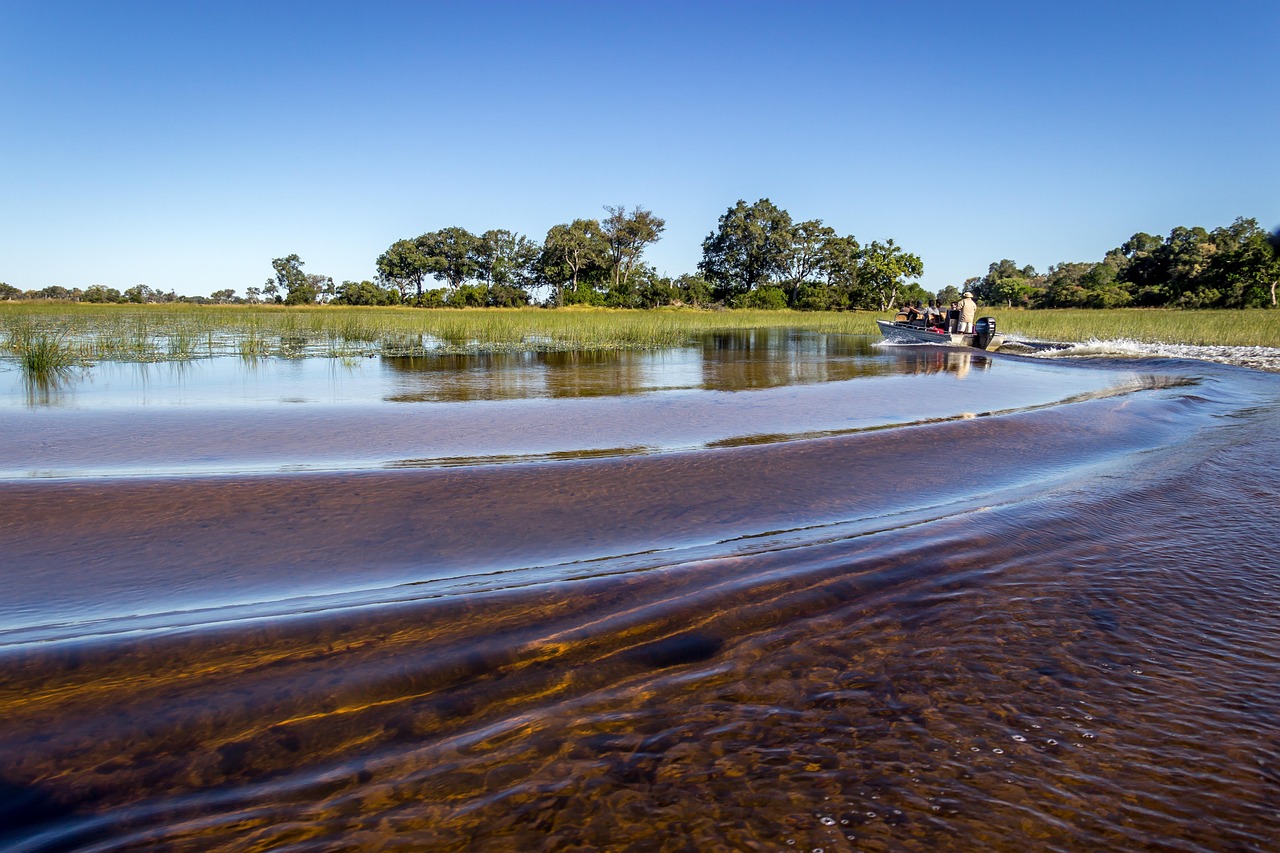 Okavango Delta Water