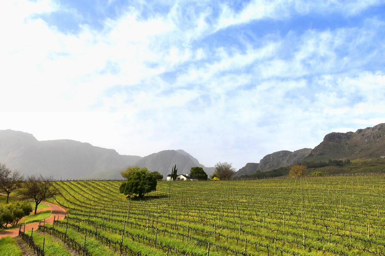 Cape Town Franschhoek Simakade