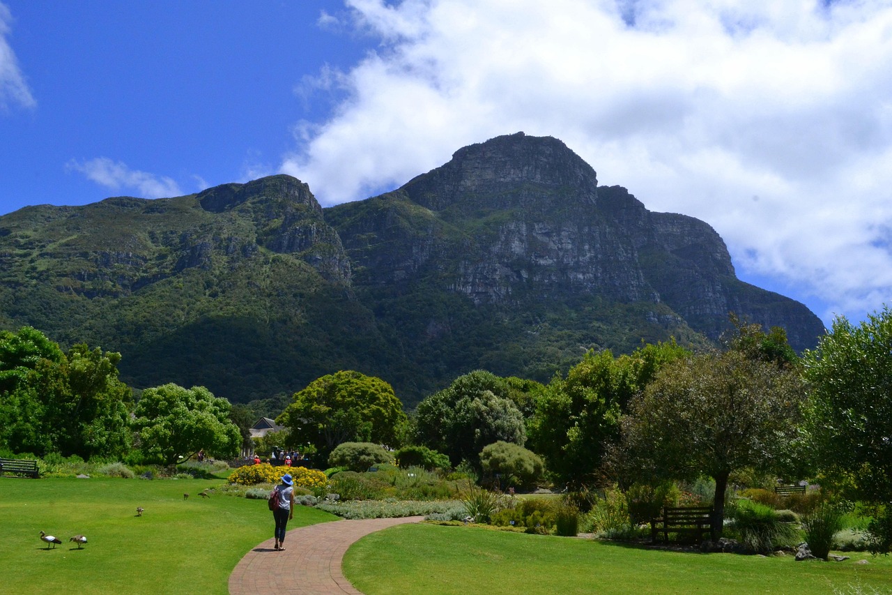 Cape Town Kirstenbosch Simakade