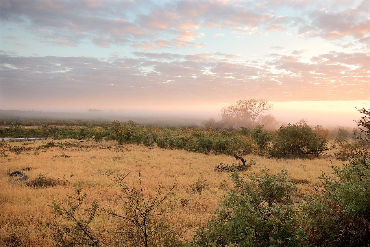 Kruger Sunrise Simakade