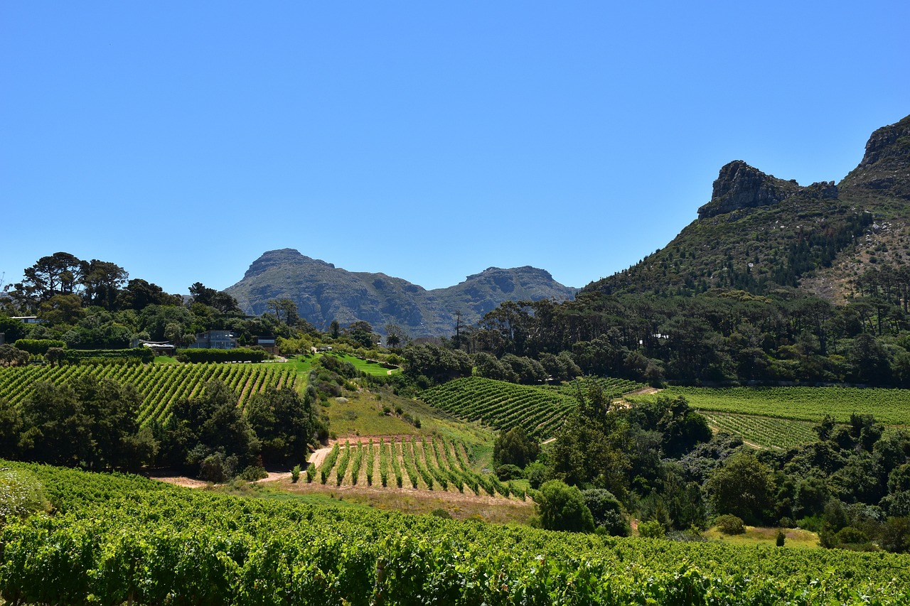Cape Town Stellenbosch Simakade
