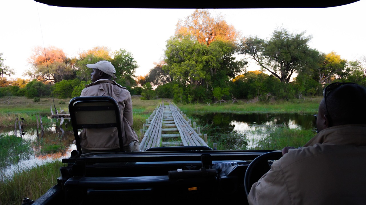 Simakade Botswana Bridge