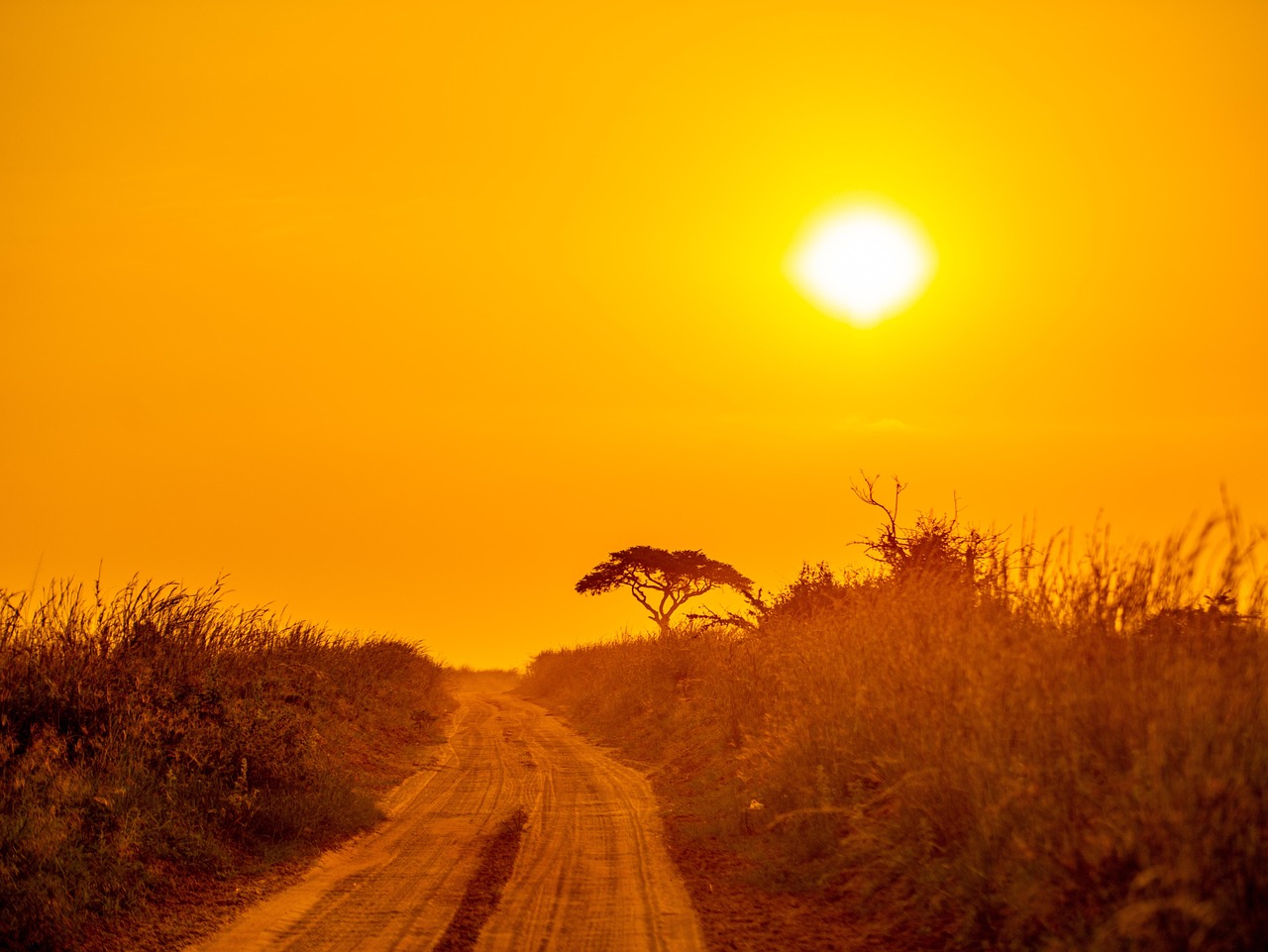 Uganda Sunset Simakade