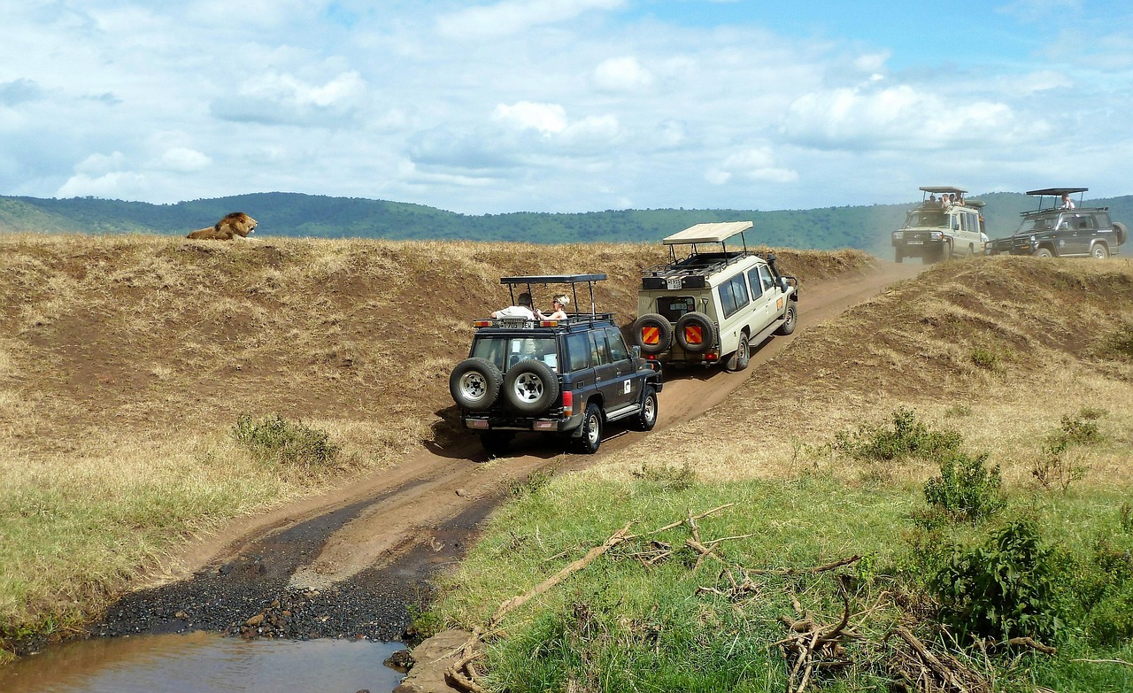 Simakade Safari Tanzania