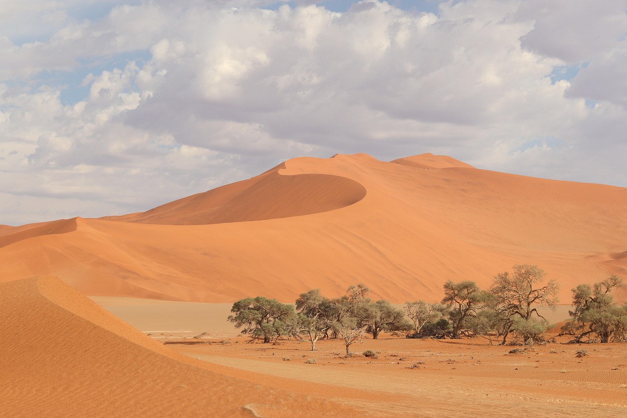 Simakade Namibia Dune