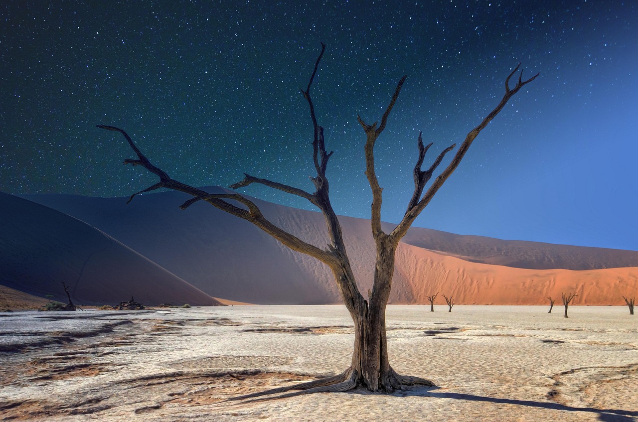 Simakade Namibia Sossusvlei