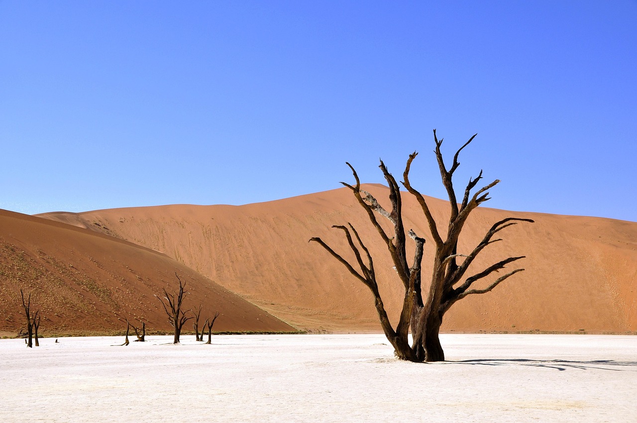 Sossusvlei Simakade Namibia