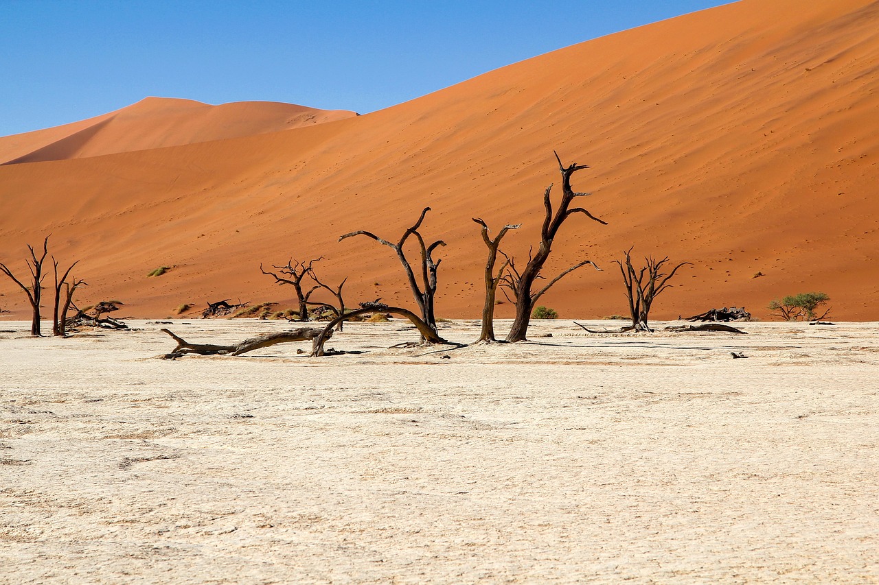 Sossusvlei Simakade Namibia 2