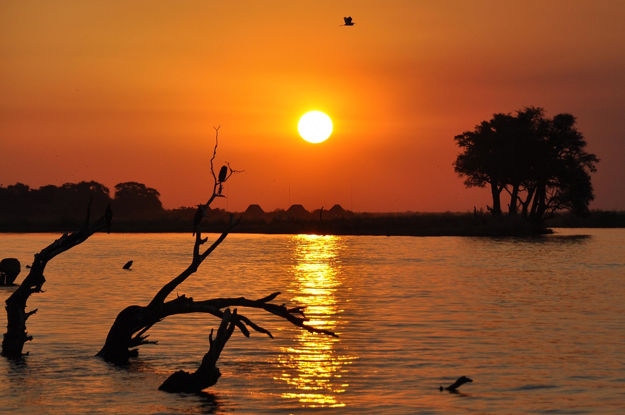 Simakade Sunset Chobe Safari Region