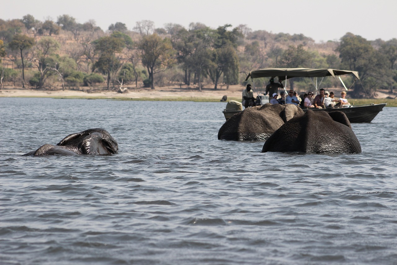 Simakade River Cruise Chobe Safari Region