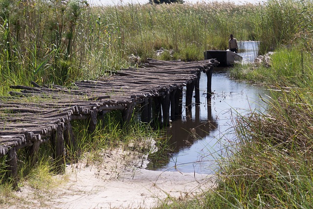 Simakade Okavango Delta Board Walk