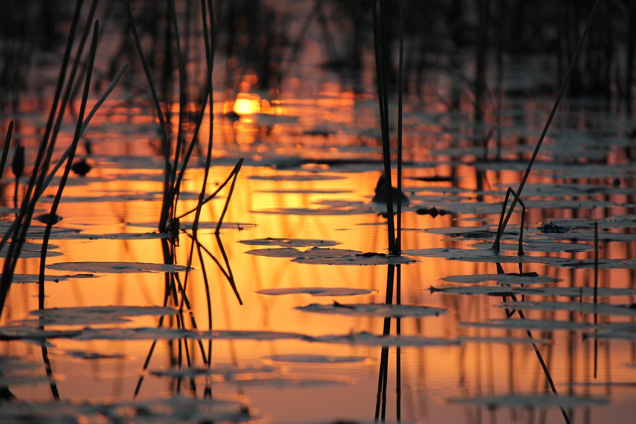 Simakade Okavango Sunset Water