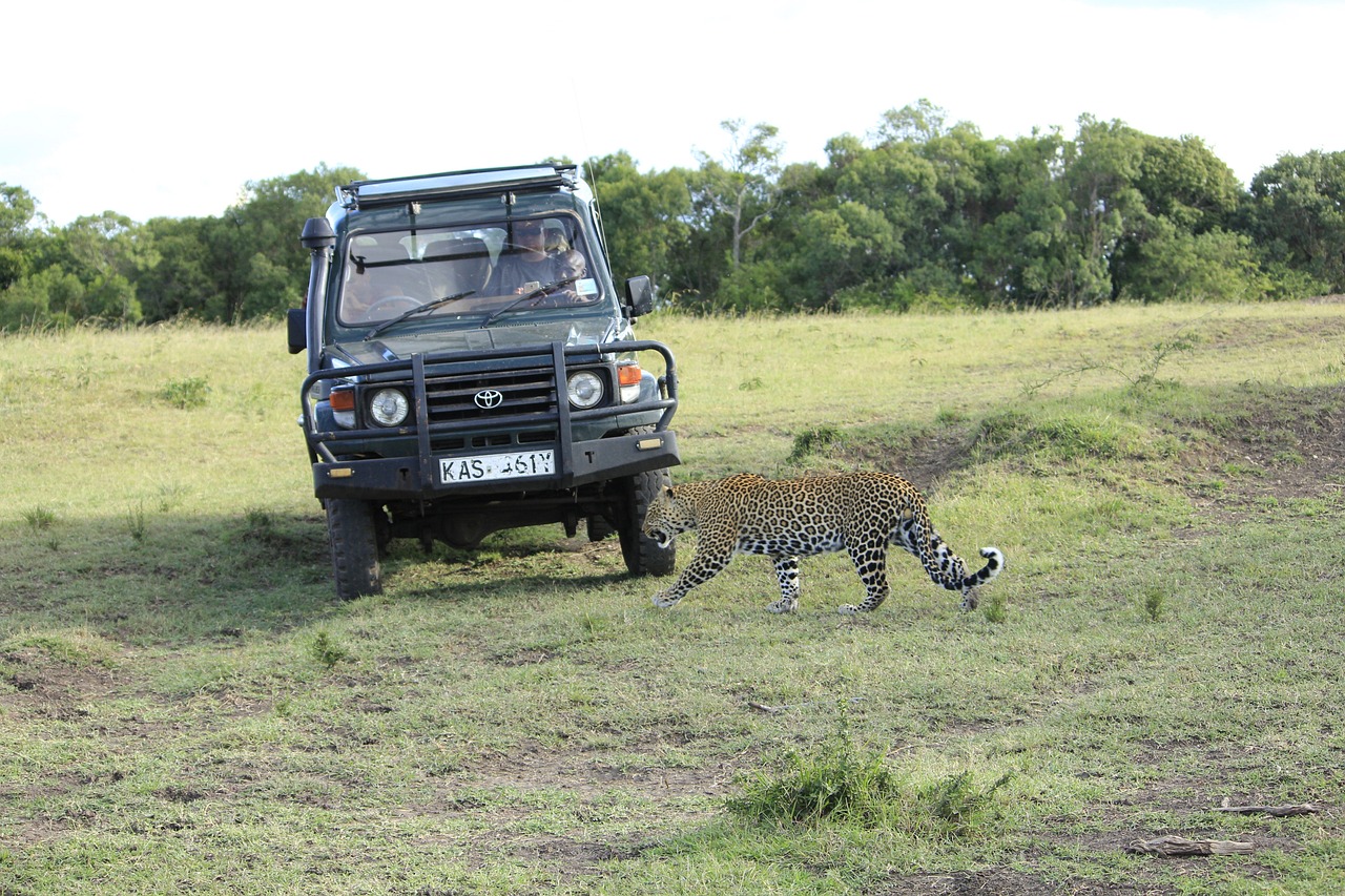 Simakade Masai Mara Safari Region Leopard Game Drive