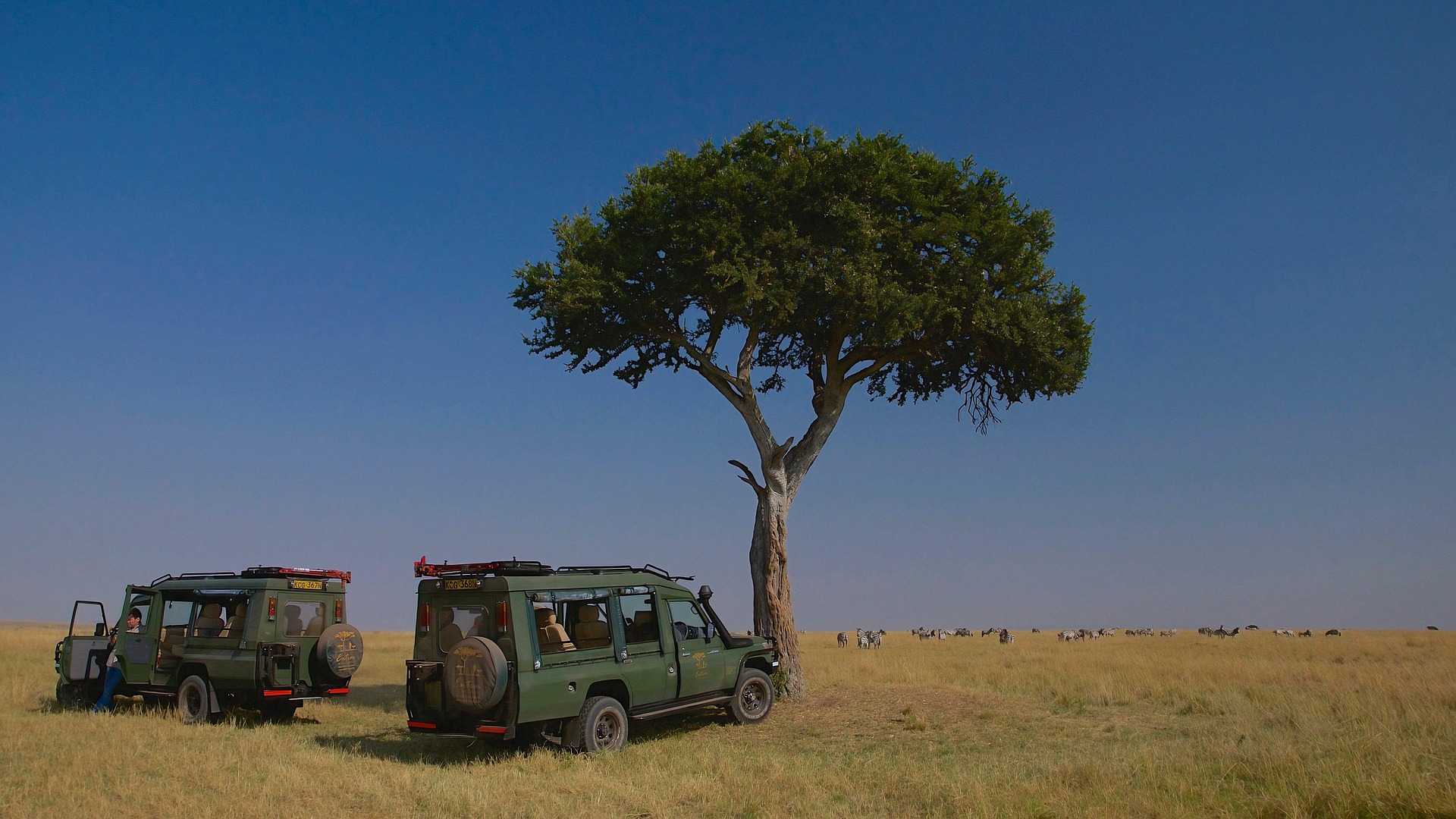 Simakade Masai Mara Safari Region Game Drive Lunch Stop