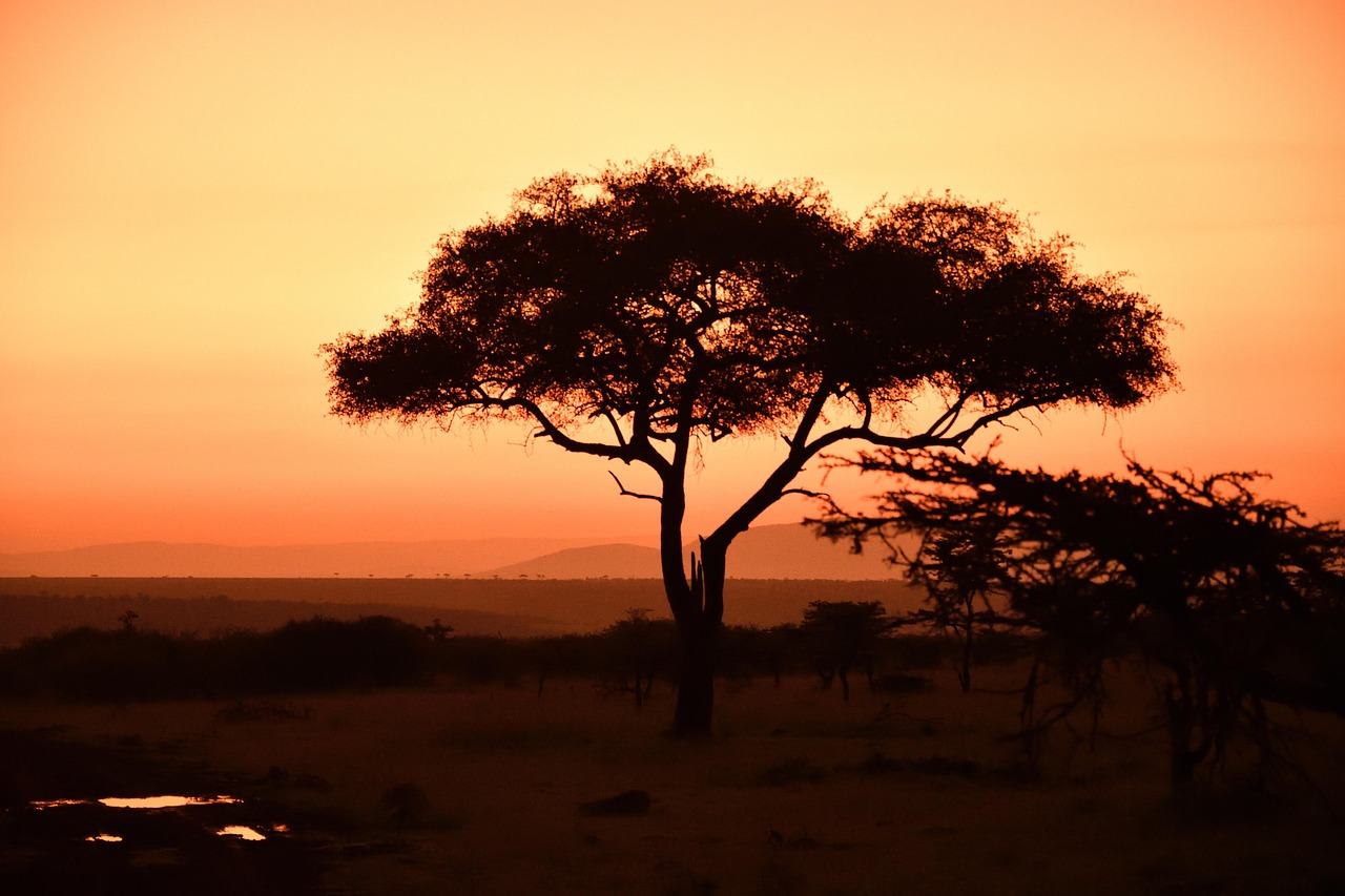 Simakade Masai Mara Safari Region Sunset