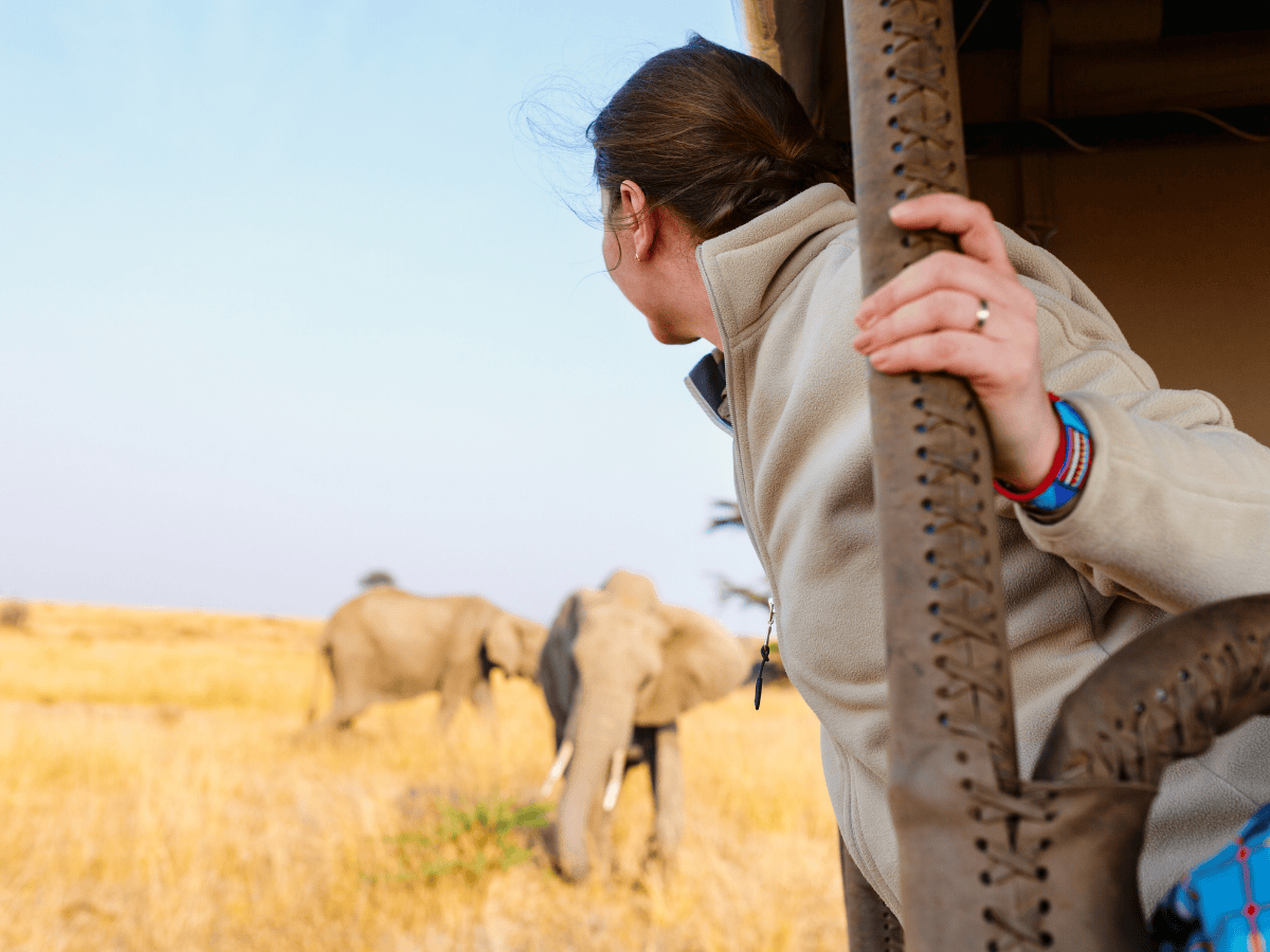 Adventurous Game Drive