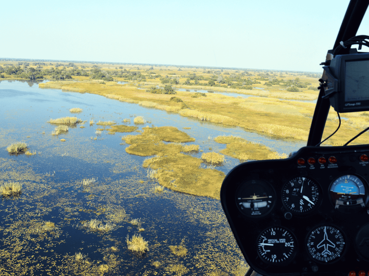 Adventurous Helicopter