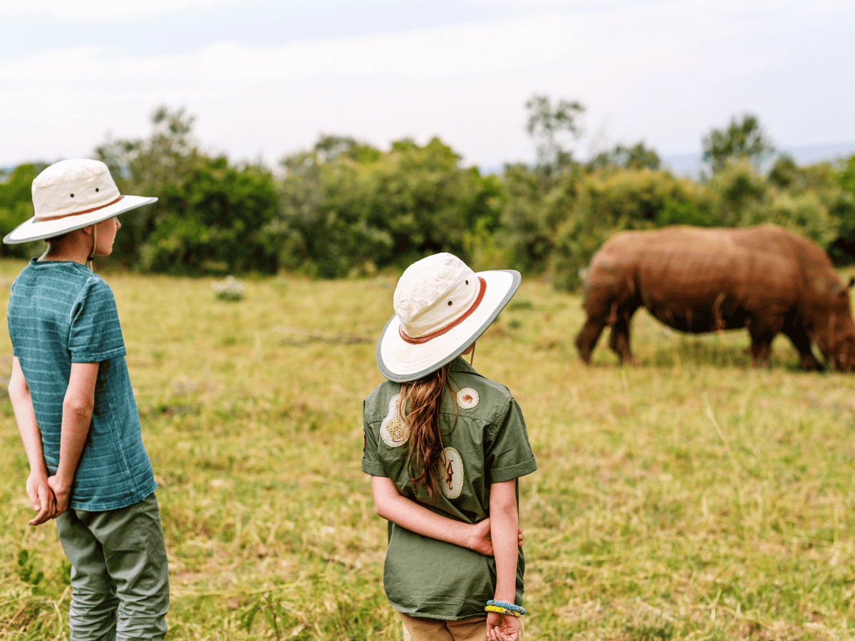Family Safari Rhino