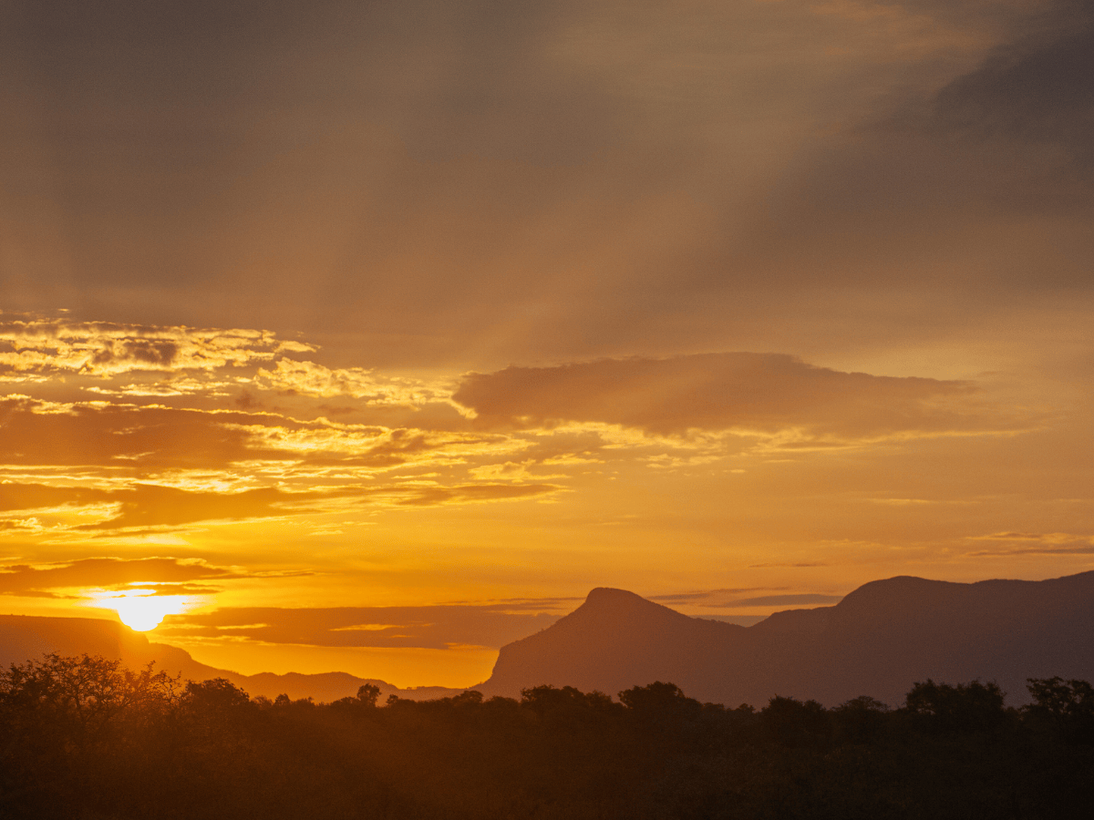 Relaxing Safari Sunrise