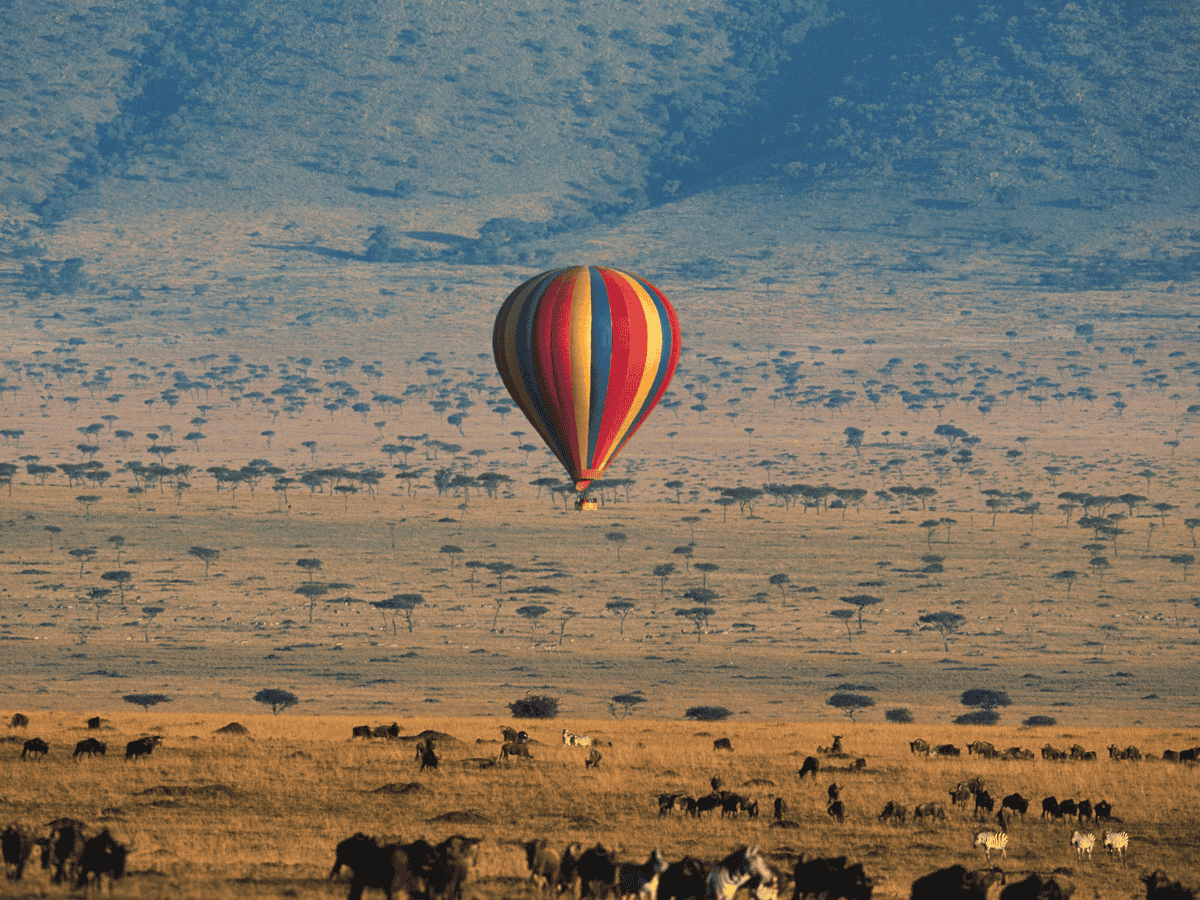 Simakade immersive Safari Hot Air Balloon