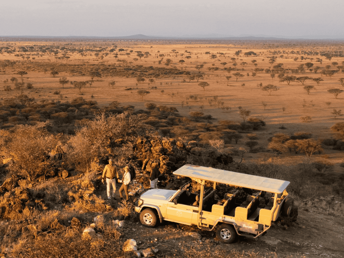 Simakade Immersive Safari View