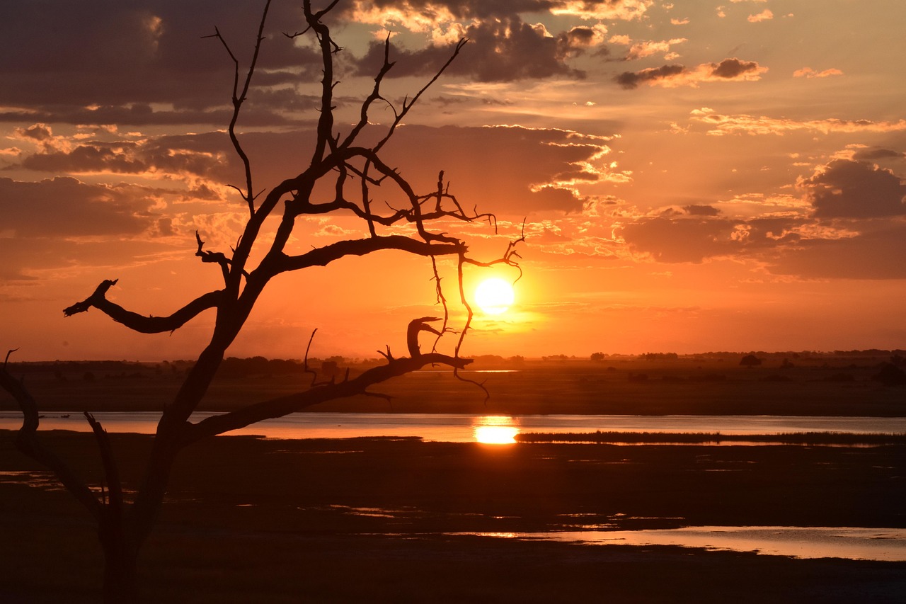 Chobe National Park