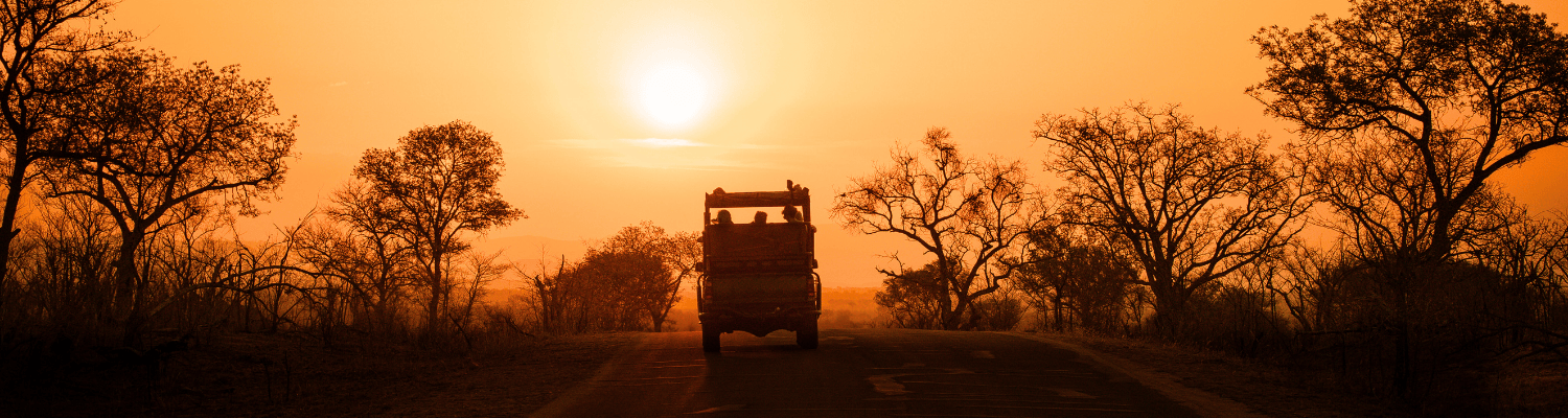 An Adventurous Traveller’s Guide to African Safaris