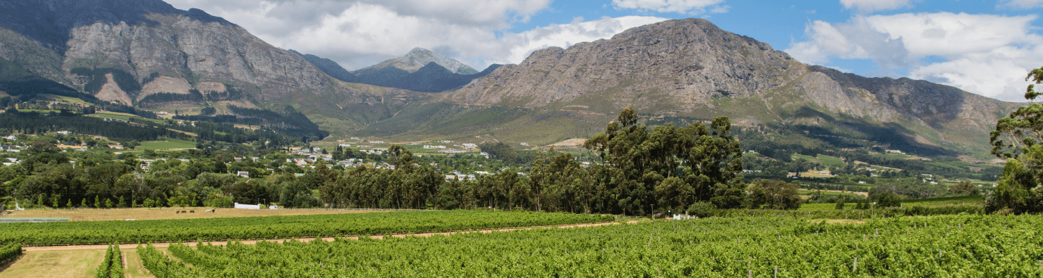 Cape Winelands