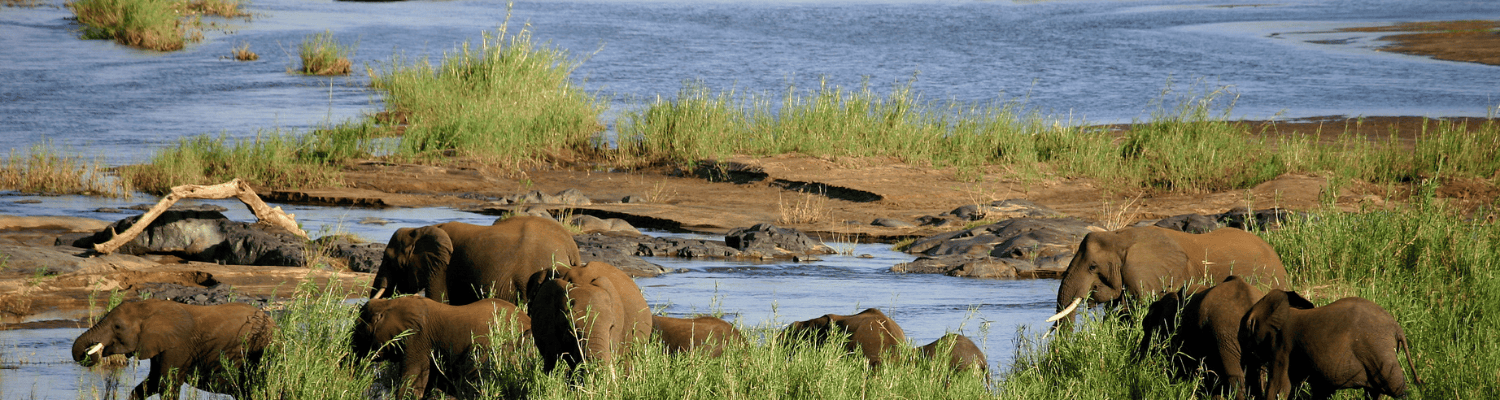 Kruger National Park