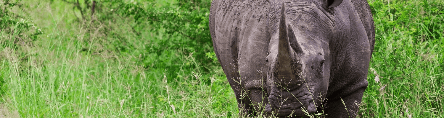 Hluhluwe-iMfolozi Game Reserve