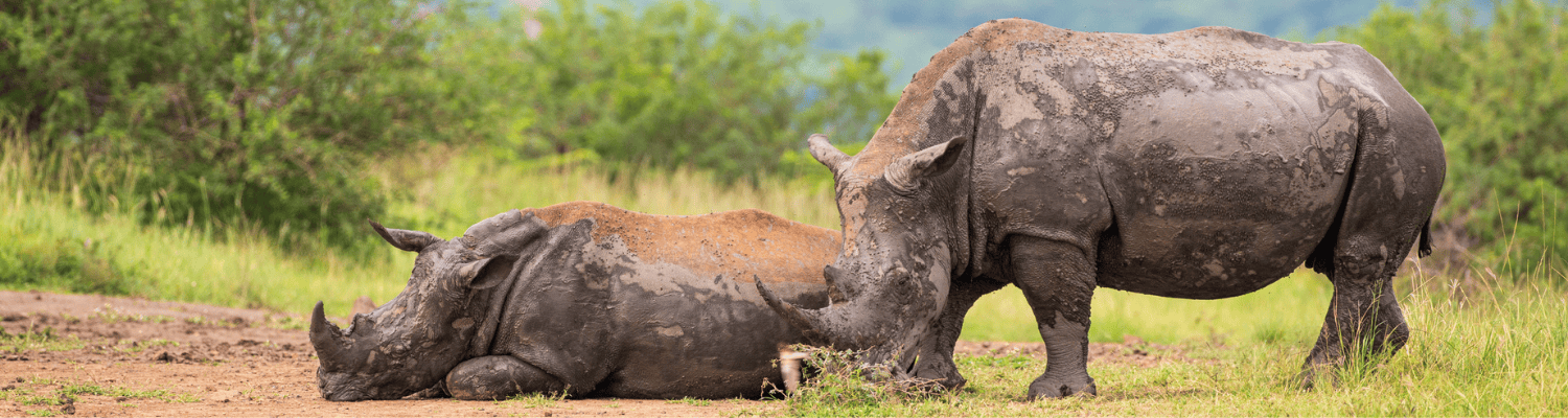 Manyoni Private Game Reserve