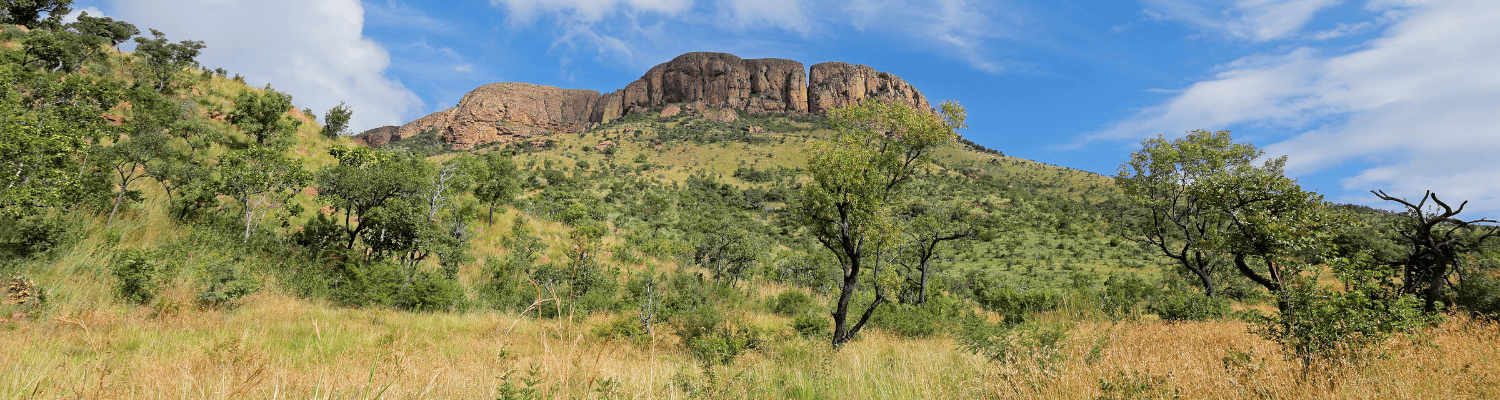 Welgevonden Private Game Reserve