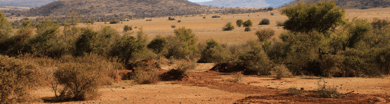 Black Rhino Private Game Reserve