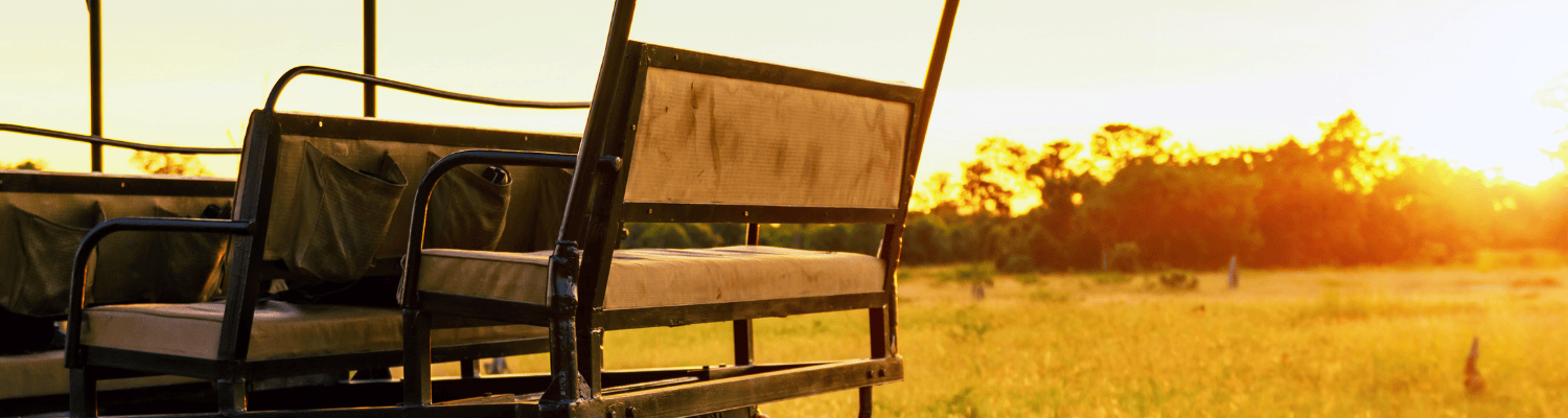 Afternoon game drives