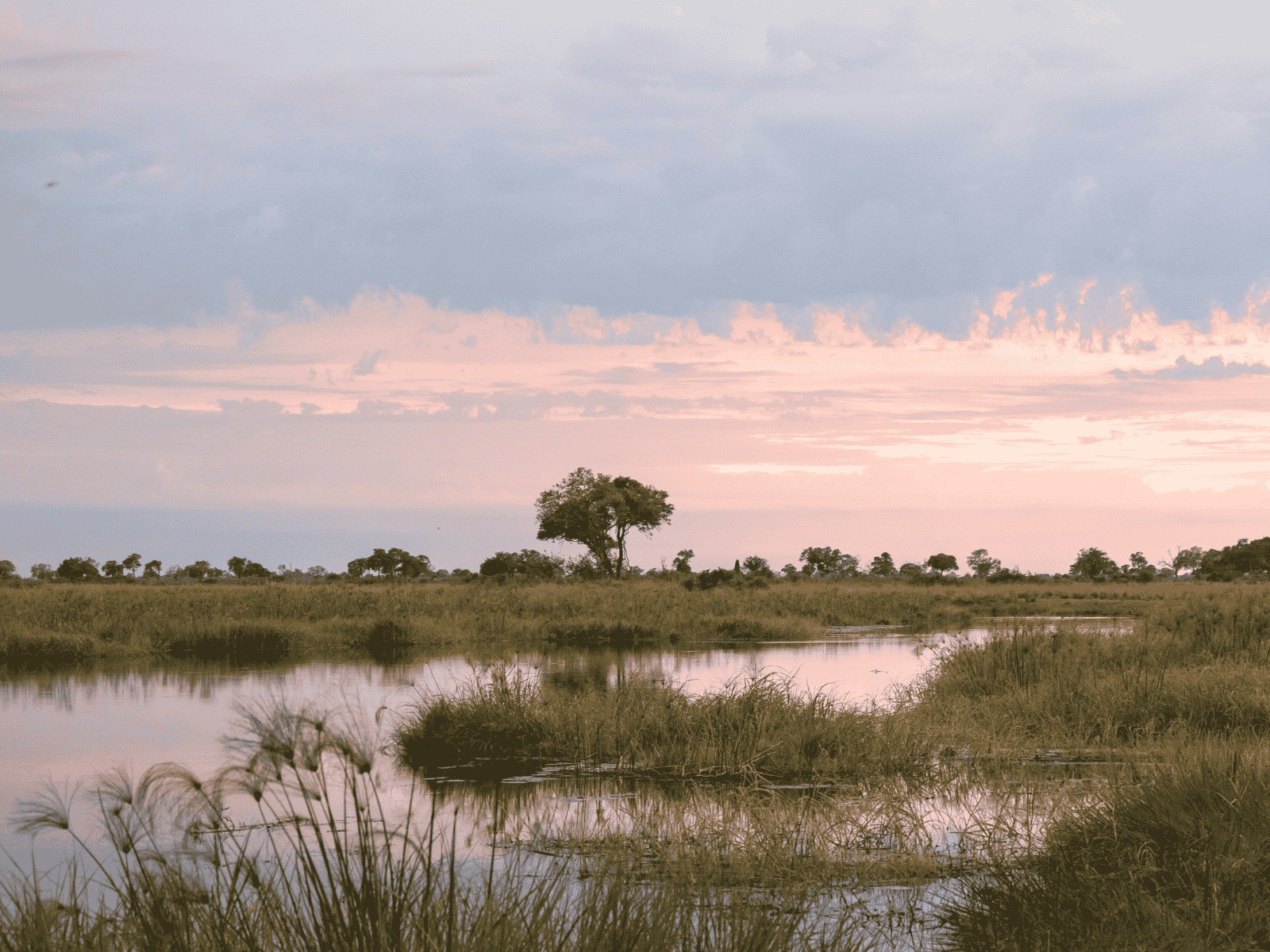 Simakade Safari Regions Guide