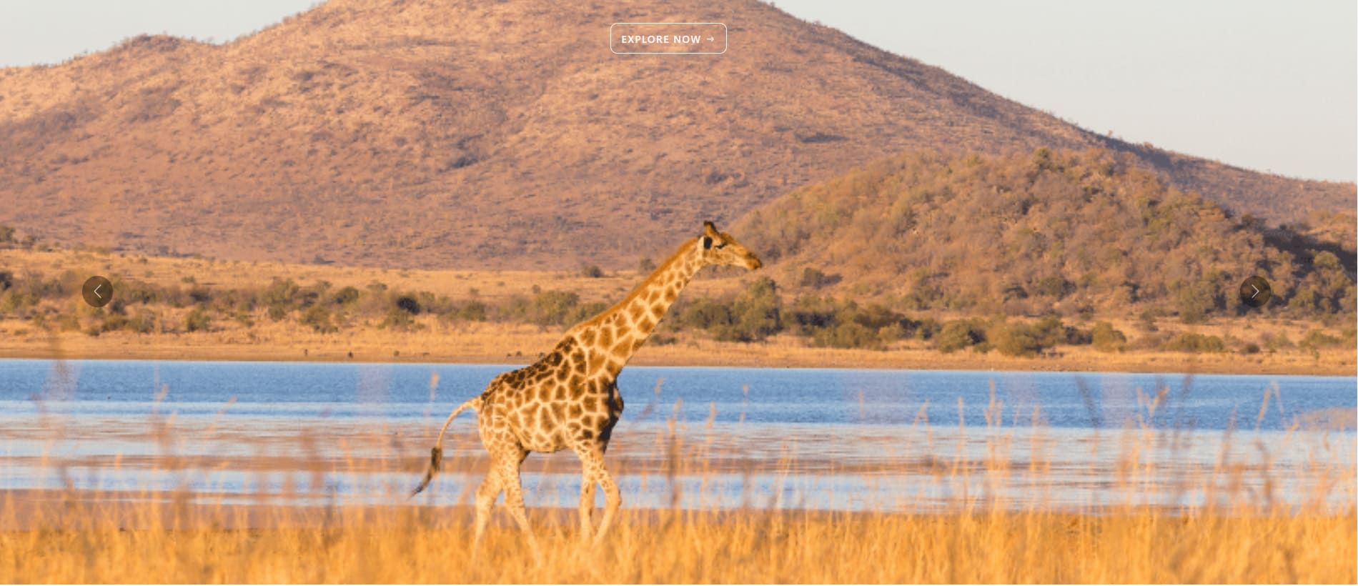 Safaris and Tours