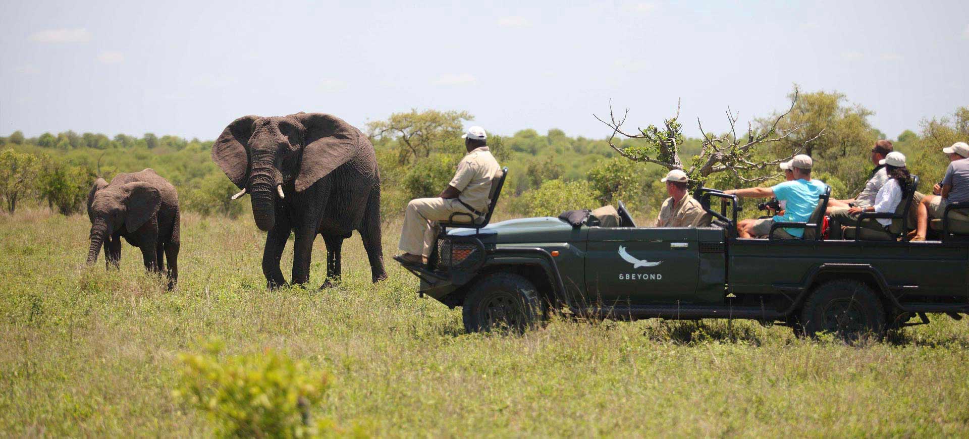 Tours and Tour Operators